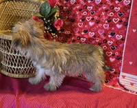 processed/93b0d331-2cbe-410b-9d5a-837232b61583/listing/d6f7683c-3d27-4126-8f9e-5c08326b2a9e/9a5de358-23a5-4969-afb5-2875c35b7b0f