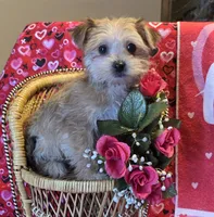 processed/93b0d331-2cbe-410b-9d5a-837232b61583/listing/d6f7683c-3d27-4126-8f9e-5c08326b2a9e/c289fac8-7817-4681-a1c6-350743c13dfb