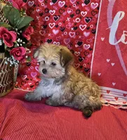 processed/93b0d331-2cbe-410b-9d5a-837232b61583/listing/f65d9697-b57c-4d5d-a5f0-5baf29e29ab3/28a24562-797e-4d58-b2d3-0da00c838adf