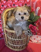 processed/93b0d331-2cbe-410b-9d5a-837232b61583/listing/f65d9697-b57c-4d5d-a5f0-5baf29e29ab3/37220da3-e097-4352-9fea-3566300f16e8