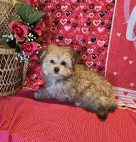 processed/93b0d331-2cbe-410b-9d5a-837232b61583/listing/f65d9697-b57c-4d5d-a5f0-5baf29e29ab3/53f49879-8adb-4cf4-b29b-36f83aa32d05