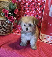 processed/93b0d331-2cbe-410b-9d5a-837232b61583/listing/f65d9697-b57c-4d5d-a5f0-5baf29e29ab3/a6a8619c-d914-47fa-af49-634532854310