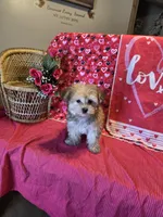 processed/93b0d331-2cbe-410b-9d5a-837232b61583/listing/f65d9697-b57c-4d5d-a5f0-5baf29e29ab3/da96dd8b-447f-450c-922a-ea64a73d0c89