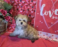 processed/93b0d331-2cbe-410b-9d5a-837232b61583/listing/f65d9697-b57c-4d5d-a5f0-5baf29e29ab3/f73d3e8c-7c44-407d-92a0-d4de6e8f8745