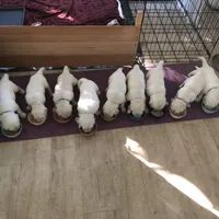 processed/93bccfa2-74f7-4ffc-b646-95660f2e5efc/facility/01a47ed3-bb65-4809-9dc7-71a4bb81aeb6