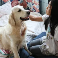 processed/93bccfa2-74f7-4ffc-b646-95660f2e5efc/facility/5660b850-8a60-4321-bdec-05e85183ced7