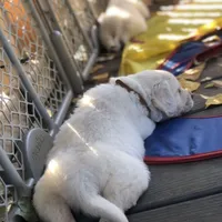 processed/93bccfa2-74f7-4ffc-b646-95660f2e5efc/facility/58957aea-8313-47ff-9e96-0a153ad9dd41