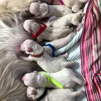 processed/93bccfa2-74f7-4ffc-b646-95660f2e5efc/facility/8e1deedd-428f-43ae-b8a8-c5350ca2b6a4