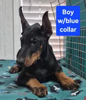 processed/93d43ed1-129d-4409-a262-09f461b17539/listing/95591b0b-5414-491d-a826-b80157567644/2d47150f-f81e-4acf-b9e4-8728db3ee506