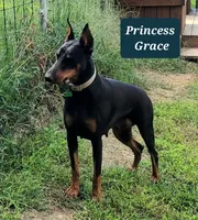 processed/93d43ed1-129d-4409-a262-09f461b17539/listing/95591b0b-5414-491d-a826-b80157567644/9ed7d7c5-b1ac-4ae9-ac84-e303282682ca