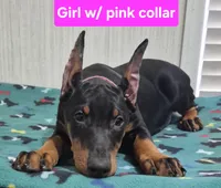 processed/93d43ed1-129d-4409-a262-09f461b17539/listing/b87ea3f4-23d2-4939-9aaf-2c10279e02fb/34ff0394-d218-4d90-baa8-9957b2d39608