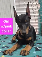 processed/93d43ed1-129d-4409-a262-09f461b17539/listing/b87ea3f4-23d2-4939-9aaf-2c10279e02fb/6d133c20-fa8a-45ab-b662-24eebd8f2a42