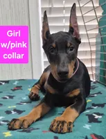 processed/93d43ed1-129d-4409-a262-09f461b17539/listing/b87ea3f4-23d2-4939-9aaf-2c10279e02fb/6e2deef3-3528-4131-9c8b-c22293ad86e4