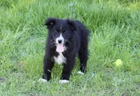 processed/93d881c5-332f-4f51-acb1-21fa111e9bc3/listing/1b989a5d-9f29-4adf-bb5f-b7b42fae4a9e/32abb1f8-6af5-4d23-b0b6-5d239f851167