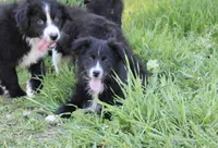 processed/93d881c5-332f-4f51-acb1-21fa111e9bc3/listing/1b989a5d-9f29-4adf-bb5f-b7b42fae4a9e/76cbf937-652a-40a5-b04f-f903bab967ee