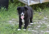 processed/93d881c5-332f-4f51-acb1-21fa111e9bc3/listing/1b989a5d-9f29-4adf-bb5f-b7b42fae4a9e/96d84006-344d-45e2-9ba2-6b1fe0193380