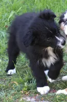 processed/93d881c5-332f-4f51-acb1-21fa111e9bc3/listing/1b989a5d-9f29-4adf-bb5f-b7b42fae4a9e/9bd2b251-3717-4696-adf9-02ceb1023aa7