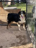 processed/93d881c5-332f-4f51-acb1-21fa111e9bc3/listing/1d74f7eb-ee91-4225-8c3d-14181cc15bd0/93105043-3ee4-4ac4-817c-02236a8b521e