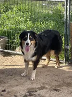 processed/93d881c5-332f-4f51-acb1-21fa111e9bc3/listing/1d74f7eb-ee91-4225-8c3d-14181cc15bd0/d5dff217-83be-4057-a6a8-b8b2cb6209ef