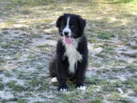 processed/93d881c5-332f-4f51-acb1-21fa111e9bc3/listing/486b833e-36da-4c55-bea3-102c171c33c4/4674e9fd-1b18-4c0e-8a6b-4833fe0d93b9