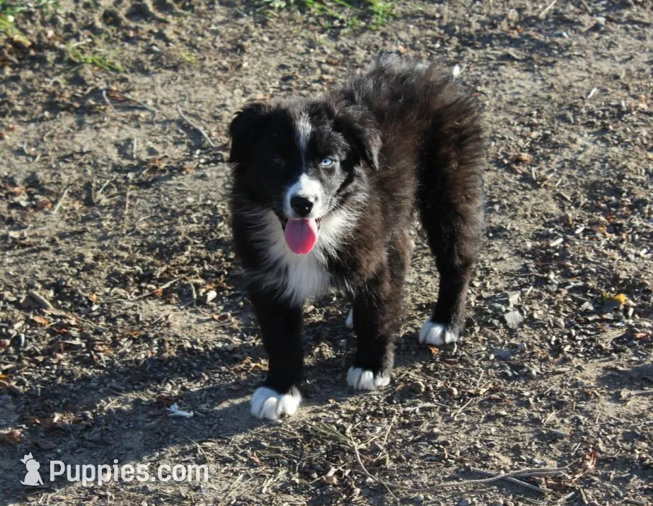 processed/93d881c5-332f-4f51-acb1-21fa111e9bc3/listing/63db64f1-1d53-4282-8185-562a872d1641/165cb051-dcf2-4cdc-bd3d-616a12a9ebc1