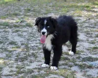 processed/93d881c5-332f-4f51-acb1-21fa111e9bc3/listing/63db64f1-1d53-4282-8185-562a872d1641/1ac06b00-bdef-4087-9a3a-f2cc06c7742a