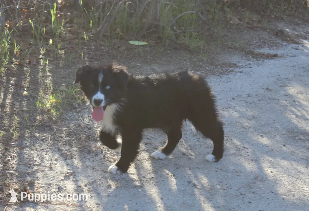 processed/93d881c5-332f-4f51-acb1-21fa111e9bc3/listing/63db64f1-1d53-4282-8185-562a872d1641/b8cfd0e1-e842-4e3f-b70d-dd685253507f