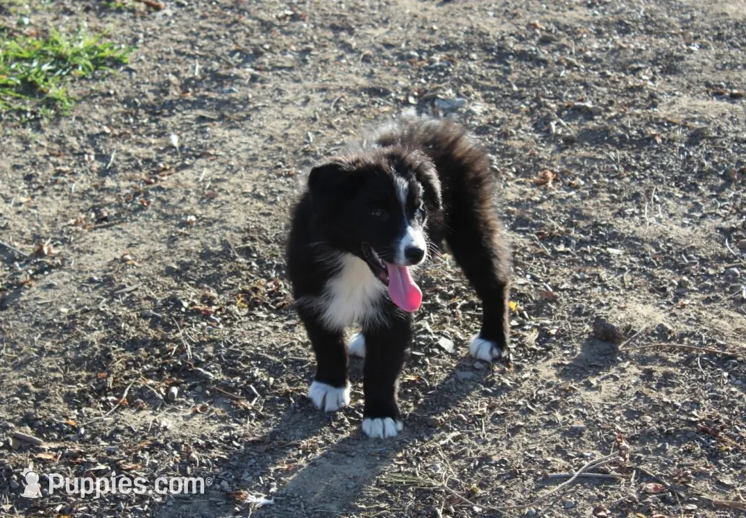 processed/93d881c5-332f-4f51-acb1-21fa111e9bc3/listing/63db64f1-1d53-4282-8185-562a872d1641/fc36e15b-b2d7-4d24-8876-4e0e3fe52dad