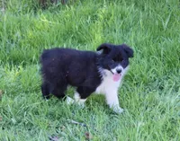 processed/93d881c5-332f-4f51-acb1-21fa111e9bc3/listing/87342859-b5f5-4869-8b22-23c4f377c1ee/464e4492-17bd-4243-b83c-038db269935c