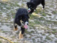 processed/93d881c5-332f-4f51-acb1-21fa111e9bc3/listing/d24f782f-52ef-457f-8a0f-ead78ae0fb34/58640a88-3ca6-421d-a467-89527600ecd4