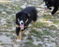 processed/93d881c5-332f-4f51-acb1-21fa111e9bc3/listing/d24f782f-52ef-457f-8a0f-ead78ae0fb34/83aae9fb-5a52-4c85-bde7-3d19077e8b02