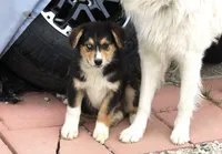 processed/93d881c5-332f-4f51-acb1-21fa111e9bc3/listing/f1e64cbf-16f5-46ad-b3a0-6c47966e5a77/5cdcbe94-b41b-4342-9898-429ce7e59491