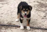 processed/93d881c5-332f-4f51-acb1-21fa111e9bc3/listing/f1e64cbf-16f5-46ad-b3a0-6c47966e5a77/67b124cd-620b-4a66-b355-1050adea8046