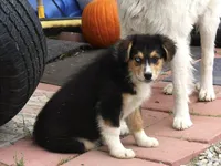 processed/93d881c5-332f-4f51-acb1-21fa111e9bc3/listing/f1e64cbf-16f5-46ad-b3a0-6c47966e5a77/7bbbb6dc-a18a-4199-a6ce-351d9d4e6e9c