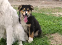 processed/93d881c5-332f-4f51-acb1-21fa111e9bc3/listing/f1e64cbf-16f5-46ad-b3a0-6c47966e5a77/e5ae2df9-bbd8-438a-b817-53f855832148