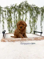 processed/93da1259-b00a-4975-bb97-5ab4f29b4aa3/listing/2ecf6950-a318-4c22-be8a-bb7a1b9b4ccd/8fdeefc7-ca4f-44f0-9a99-088da3c156ff