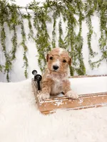 processed/93da1259-b00a-4975-bb97-5ab4f29b4aa3/listing/3d831705-a159-4a5d-b0ff-2fb3b11cc9de/de8431f7-14db-410b-bd14-93c00d89a26c