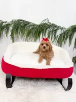 Sugarplum Mini Poodle, a female Poodle - Miniature  for sale in Mobile, AL – Photo 3 of 4