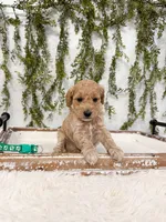 processed/93da1259-b00a-4975-bb97-5ab4f29b4aa3/listing/74794124-cc06-4b76-8098-3cdbfe0aeb0f/56391384-42e6-4dca-850b-3905baca9544