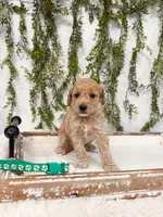 processed/93da1259-b00a-4975-bb97-5ab4f29b4aa3/listing/74794124-cc06-4b76-8098-3cdbfe0aeb0f/57f9a1c2-4a5b-4c8f-861f-4c2e70f7c920