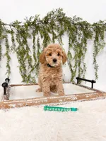 processed/93da1259-b00a-4975-bb97-5ab4f29b4aa3/listing/74794124-cc06-4b76-8098-3cdbfe0aeb0f/86c202db-b9c3-4ca1-9560-59b31b04a62b