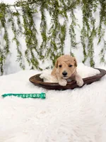 processed/93da1259-b00a-4975-bb97-5ab4f29b4aa3/listing/74794124-cc06-4b76-8098-3cdbfe0aeb0f/b9f679f9-7316-41b1-ae06-6b5728d18fd0