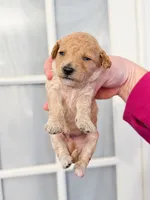 processed/93da1259-b00a-4975-bb97-5ab4f29b4aa3/listing/74794124-cc06-4b76-8098-3cdbfe0aeb0f/da37f63f-4d7d-4b1c-8675-68863029f276