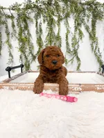 processed/93da1259-b00a-4975-bb97-5ab4f29b4aa3/listing/7a24162f-25fc-446e-8bbe-5271b4b58c40/1159a5b6-80d2-44c6-84a7-2819978546da