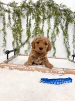 processed/93da1259-b00a-4975-bb97-5ab4f29b4aa3/listing/d4097b82-30a0-4911-985d-150884bb694a/d69362ae-e0fe-43d2-917c-fac585d6787f