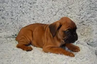 processed/93de2164-ded0-40a4-9683-ec75692d3fc1/listing/50693f43-b2d4-4a10-a627-71638f8687a7/02d2e609-b008-4c61-8ee0-df3bed018842