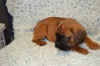 processed/93de2164-ded0-40a4-9683-ec75692d3fc1/listing/50693f43-b2d4-4a10-a627-71638f8687a7/f7c050f2-0800-47e3-943c-2fb92a61a52e