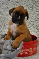 processed/93de2164-ded0-40a4-9683-ec75692d3fc1/listing/7cdccdda-8000-4da3-ad37-1422d4bb3a96/448dd1ab-22fa-440a-8941-7436b0fbcfde