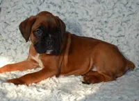 processed/93de2164-ded0-40a4-9683-ec75692d3fc1/listing/93c3e363-0967-43db-bb89-469a71bb9af0/09de2796-b97f-41a9-ba7c-423e82267f67