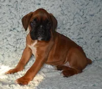 processed/93de2164-ded0-40a4-9683-ec75692d3fc1/listing/93c3e363-0967-43db-bb89-469a71bb9af0/da82786a-1006-4c0d-b2c4-412d5566e087